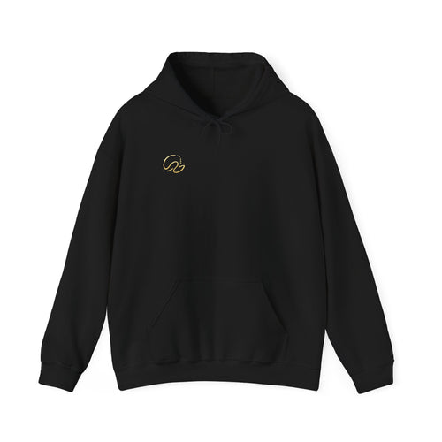 The UnBroken Line Signature Hoodie
